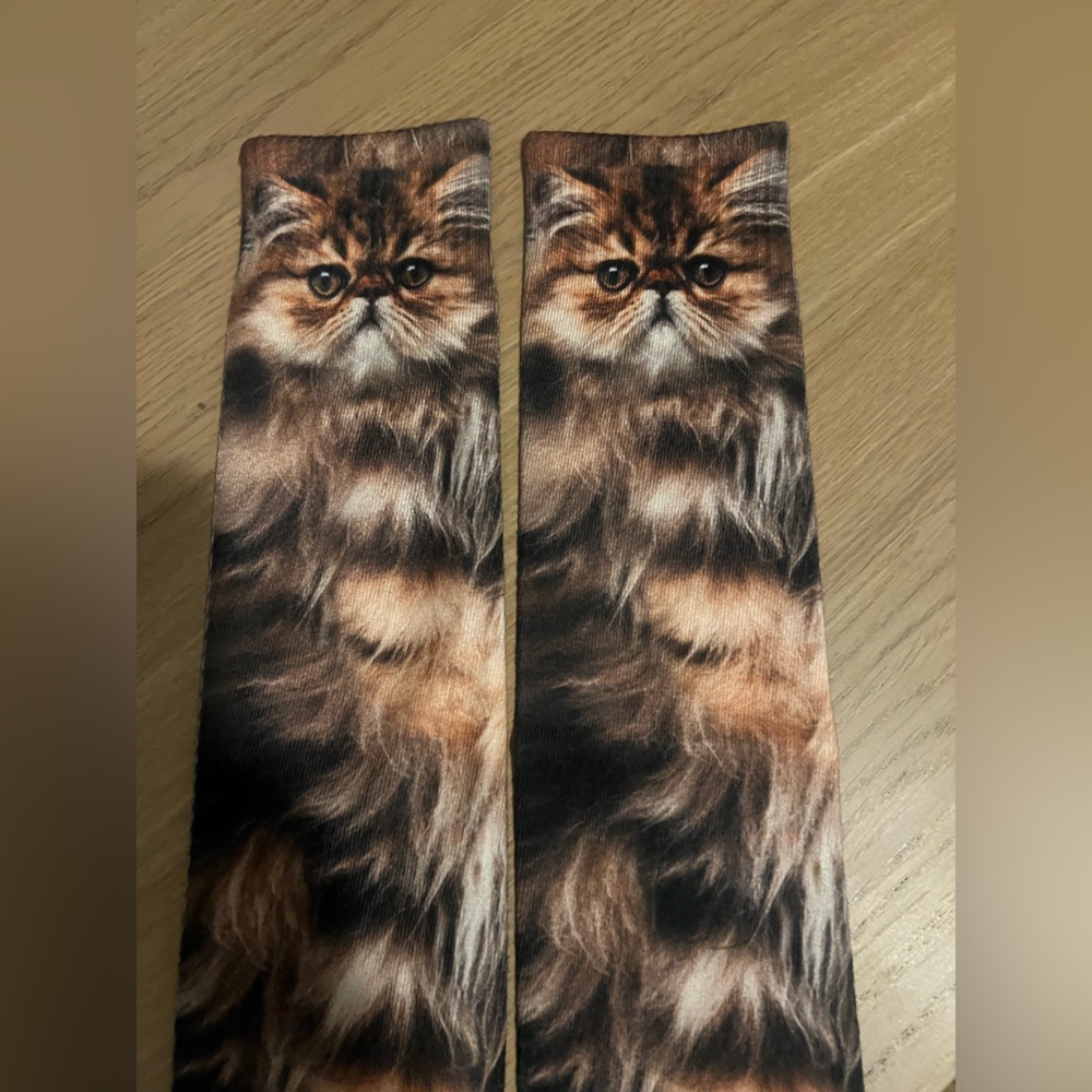 Cat Print Socks